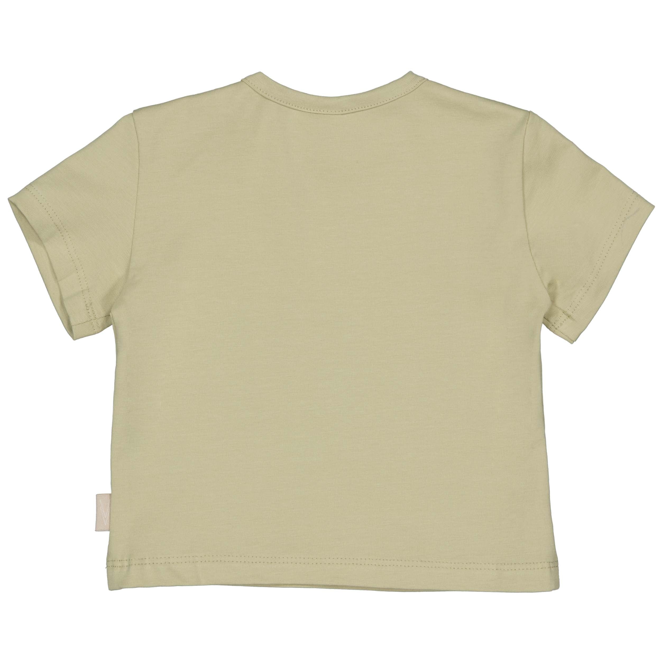 Shirt groen | Soft Green
