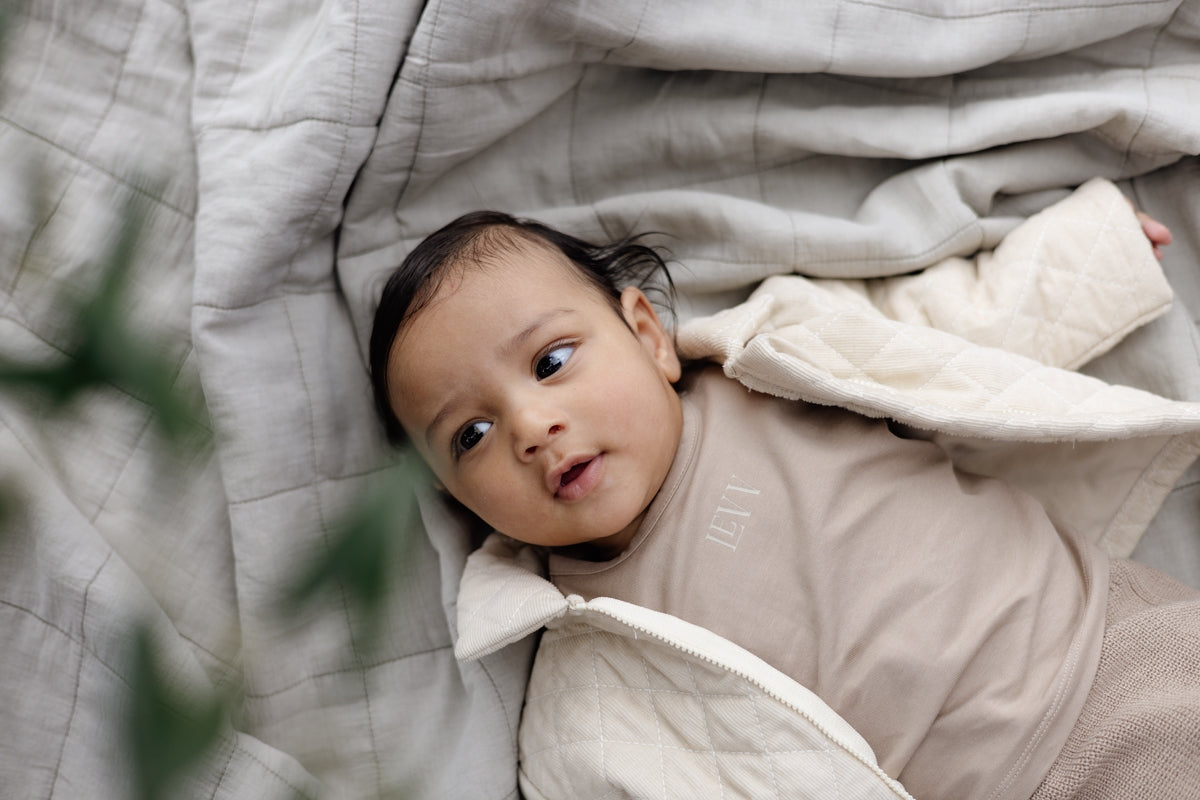 Hemd Brauner | Taupe