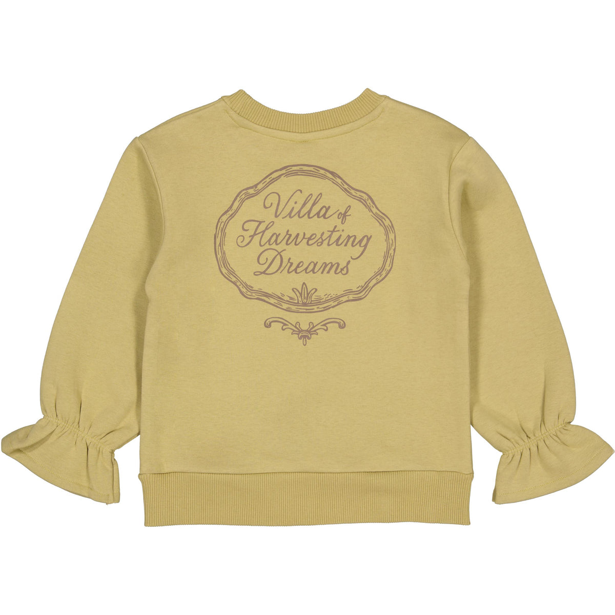 Lichtgroene sweater met rugprint | Light Green