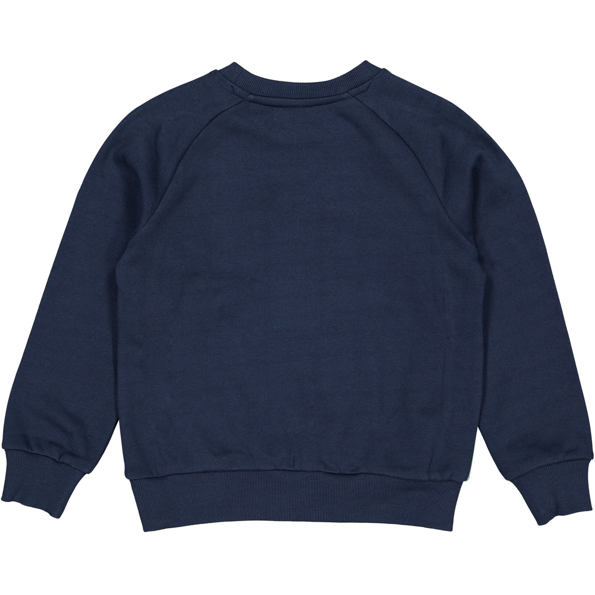 Donkerblauwe sweater met mintgroene inzetstukken | Indigo Blue