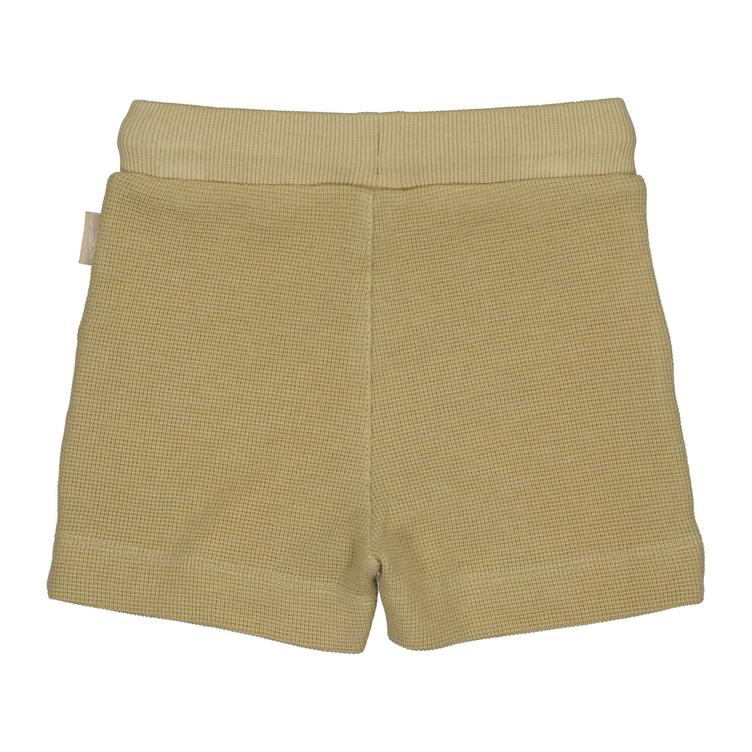 Short olijfgroen | Olive